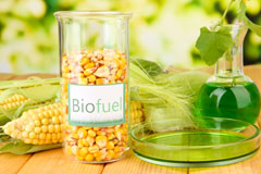 Briston biofuel availability